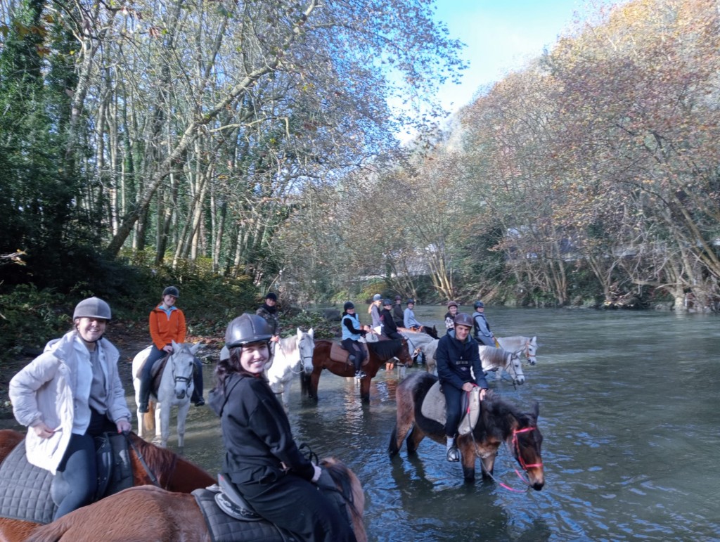 Paseo a caballo Paseo a caballo