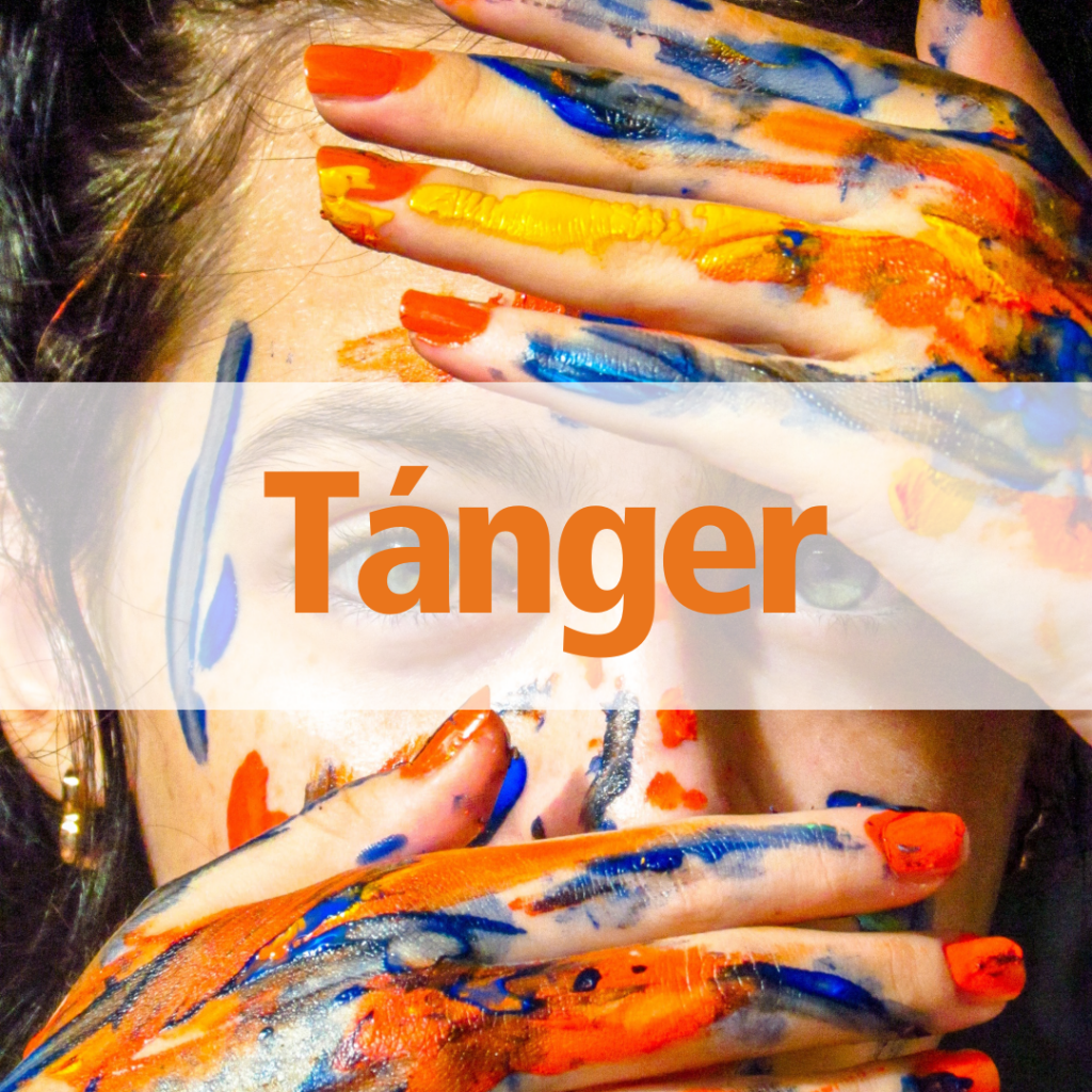 Experiencia en Terreno - Tánger