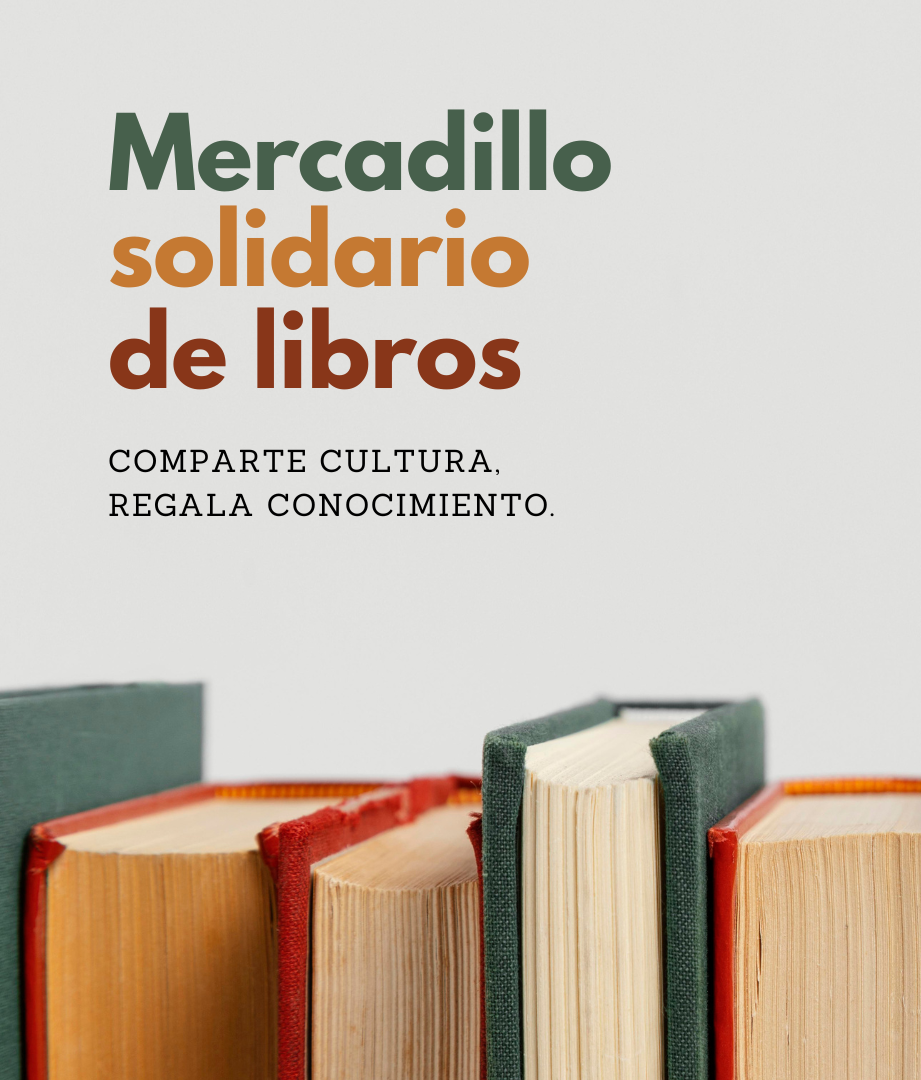 Mercadillo solidario de libros