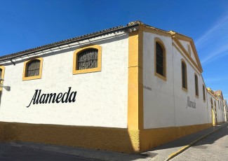 Alameda upeltegia, Puerto Santa María (Cádiz)