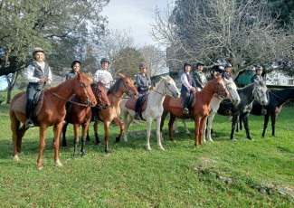 Paseo a Caballo