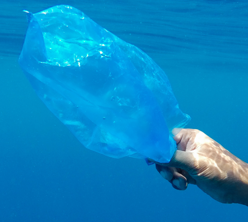 Ocean Cleaning en Getxo