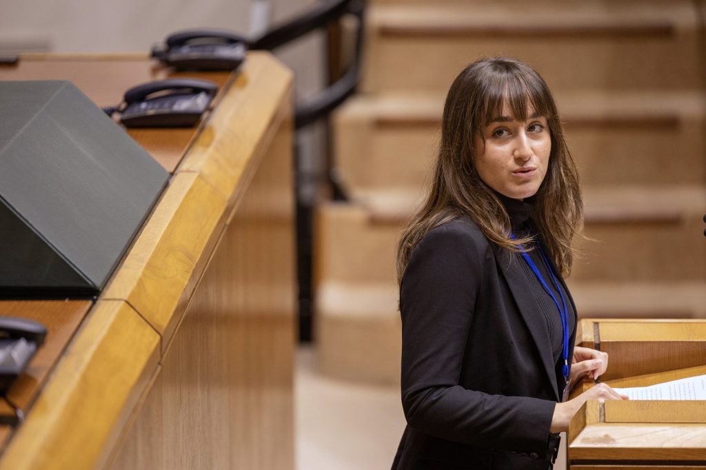 VII Simulación del Parlamento Vasco VII Simulación del Parlamento Vasco