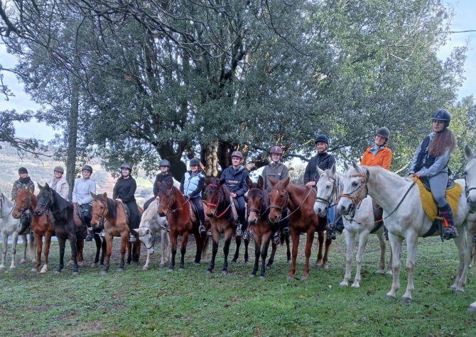 Nuevo Paseo a Caballo Nuevo Paseo a Caballo